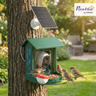 PawHut - Mangeoire à oiseaux intelligente solaire 3W avec caméra, vidéo en direct 2K HD-Le panneau solaire et la grande batterie fournissent jusqu'à 5 mois d'autonomie 