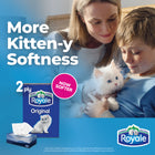 Royale Original 2-Ply Facial Tissues - 36 Pack-The Royale brand is part of an organization that plants millions of trees annually in responsibly managed forests, with a billion trees planted since 1957 and counting