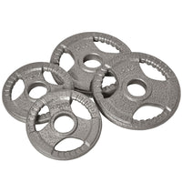 Soozier 33 lb Weight Plates for 2" hole Dumbbell Handle Bar - Set of 4-Portable design for use in the home, office, parks, garage 