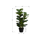 Monarch Specialties - Plante Artificielle - 32 po H - Arbre À Violons - Mis En Pot - Touche Réelle - Feuilles Vertes - Pot Noir-Cette plante artificielle à entretien facile est fabriquée à partir des matériaux de haute qualité et ne nécessite pas d'entretien ou d'arrosage, pour un accent décoratif durable et respectueux de l'environnement qui durera toute une vie