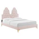Modway Alexandria Tufted Performance Velvet Twin Platform Bed with Gold Metal Legs - Pink-Reinforced Center Beam and Support Legs