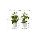 Monarch Specialties 14" Artificial Indoor Ficus - Table - White Pots - Set of 2-These easy-care faux table plants are made from the highest quality materials and require no maintenance or watering