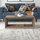 Hudson&Canal - Table basse rectangulaire Osmond , 48 po de largeur, en chêne gris vieilli-Fini en chêne gris vieilli aspect bois