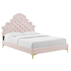 Modway Gwyneth Tufté Performance Velours Lit Plateforme Queen Avec Pieds en Métal Doré - Rose-Assemblée requise
