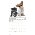 DateWorks 2026 16-Month Mini Wall Calendar - 7" x 7" - Buddies - Bilingual-September 2025 - December 2026