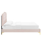 Modway Amber Tufted Performance Velvet Twin Platform Bed - Pink-Wood Slat Support System