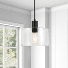 Hudson&Canal Henri 10" Wide Pendant with Glass Shade - Blackened Bronze/Clear-Clean with a soft, dry cloth and no harsh chemicals or abrasive cleaning materials