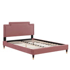 Modway Liva Performance Velvet Twin Bed with Wood Legs and Gold Sleeves - Dusty Rose-Twin Platform Bed