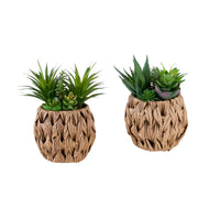 Monarch Specialties 9369 9" Tall Artificial Succulents - Brown Woven Basket - Set of 2-This set of 2 artificial plants features 9" tall artificial succulents designed to add texture and warmth to any table or surface