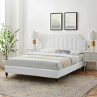 Modway Sienna Performance Velvet Queen Platform Bed with Wood Legs and Gold Metal Sleeves - White-Stain-Resistant Performance Velvet