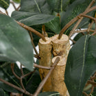 HOMCOM 5' Artificial Ficus Tree for Indoor Decoration - Green-Material: PEVA, PE, Cement 