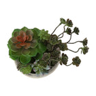 Monarch Specialties - 9365 Succulente Artificielle 9" de Haut - Pots en Ciment Beige - Ensemble de 2-Chaque plante artificielle est présentée dans un élégant pot en ciment beige, offrant une base solide tout en mettant en valeur son aspect réaliste