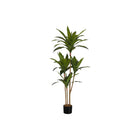 Monarch Specialties - Plante Artificielle - 51 po H - Arbre De Dracaena - Mis En Pot - Touche Réelle - Feuilles Vertes - Pot Noir-Ajoutez un élément de nature à votre maison ou votre bureau avec cet arbre dracaena artificiel qui mesure 51 po de haut installé dans un pot noir de 5 po