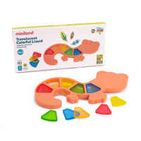Miniland Feel to Learn: Translucent Colorful Lizard-The toy lizard has two pieces can be fitted to each hole in it's body, which creates the mixture of colors