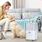 HOMCOM - déshumidificateur portable silencieux 1260 pieds carrés avec 3 modes - blanc-Convient pour des pièces de 1260 pi²
