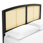 Modway Sierra Cane and Wood Full Platform Bed with Splayed Legs - Black-Rubberwood Legs