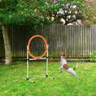 PawHut Dog 2-in-1 Obstacle Training Agility Equipment with Tire Jump-Nurtures the relationship between you and your pet and helps your pets get exercise 