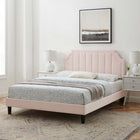 Modway - Sienna Lit plateforme complet en velours haute performance avec pieds en bois noir - Rose-Système de soutien en lattes de bois
