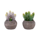 Monarch Specialties - 9364 Succulente Artificielle 8" de Haut - Pots en Ciment Brun - Ensemble de 2-Apportez une touche décorative moderne avec cet ensemble de 2 plantes artificielles, comprenant des succulentes artificielles de 8" de hauteur qui offrent un look épuré et contemporain à toute table, étagère ou surface