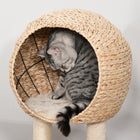 PawHut - Arbre à chat avec poteau à griffer en sisal et balle suspendue - 39 po H beige-Le design à plusieurs niveaux satisfait le désir de grimper de votre animal 