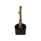 Monarch Specialties - Plante Artificielle - 52 po H - Arbre À Caoutchouc - Mis En Pot - Touche Réelle - Feuilles Vertes - Pot Noir-Aucun montage requis: dimensions du produit: 27 po L x 25 po W x 52 po H