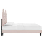 Modway Alexandria Tufté Performance Velours Lit Plateforme Twin Avec Pieds en Bois Noir - Rose-Pieds en bois noir avec capuchons sans marque