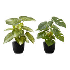 Monarch Specialties - Plante Artificielle - 13 po H - Monstera Calthea - Mis En Pot - Ensemble De 2 - Feuilles Vertes - Pots Noirs-Revitalisez votre espace intérieur avec cet ensemble de plantes artificielles Monstera et Calathea qui mesurent 13 po de haut
