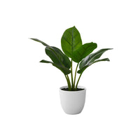 Monarch Specialties - Plante Artificielle - 17 po H - Aureum - Mis En Pot - Touche Réelle - Feuilles Vertes - Pot Blanc-Ajoutez une touche stylée de verdure à n'importe quel espace avec cette plante artificielle aureum de 17 po dans un pot blanc
