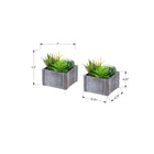 Monarch Specialties - 9370 Succulente Artificielle 8" de Haut - Pots en Bois Gris - Ensemble de 2-Accompagnées d'une garantie limitée de 5 ans, ces plantes artificielles sont conçues pour offrir une qualité durable et une tranquillité d'esprit