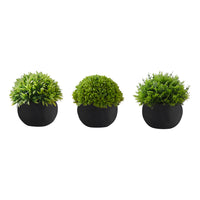 Monarch Specialties - Plante Artificielle - 5 po H - Gazon - Mis En Pot - Ensemble De 3 - Plantes Vertes - Pots Noirs-Créez votre propre oasis avec cet ensemble de 3 plantes artificielles de 5 pouces de haut dans des pots noirs durables en pâte à papier
