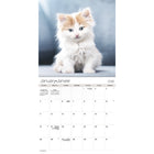 DateWorks 2026 16-Month Mini Wall Calendar - 7" x 7" - Cuddly Kittens - Bilingual-September 2025 - December 2026