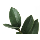 Monarch Specialties - Plante Artificielle - 29 po H - Arbre Zz - Mis En Pot - Touche Réelle - Feuilles Vertes - Pot Noir-Garantie limitée de 5 ans contre les défauts du fabricant