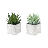 Monarch Specialties - 9363 Succulente Artificielle 8" de Haut - Pots en Ciment Gris - Ensemble de 2-Apportez une touche décorative moderne avec cet ensemble de 2 plantes artificielles, comprenant des succulentes artificielles de 8" de hauteur conçues pour sublimer toute table, étagère ou bureau dans votre maison ou votre bureau