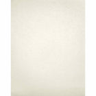 LUX 8 1/2 x 11 Cardstock, Quartz Metallic, 50/Box (81211-C-72-50)-Comes in quartz metallic which is a shimmery white-silver