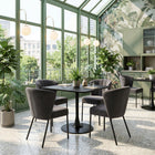 Zuo Aimee Dining Chair - Grey - Set of 2-Chair Weight Capacity: Supports up to 350 lb