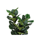 Monarch Specialties 32" Artificial Indoor Fiddle Tree - Floor - Black Pot-6