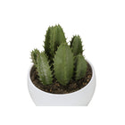 Monarch Specialties - Plante Artificielle - 6 po H - Succulent - Mis En Pot - Ensemble De 3 - Plantes Vertes - Pots Blancs-Aucun assemblage n'est requis et une garantie limitée de 5 ans contre tout défaut est offerte pour votre satisfaction et votre plaisir