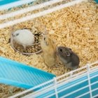 PawHut Hamster Cage 5-Level with Tunnel Tube System - Light Blue-Color: Light Blue, white