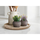 Monarch Specialties - 9364 Succulente Artificielle 8" de Haut - Pots en Ciment Brun - Ensemble de 2-Fabriquées avec des matériaux de haute qualité, ces plantes artificielles respectueuses de l'environnement sont durables pour un style long terme et un usage quotidien