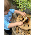 Yellow Door Dig and Discover - Triceratops & Spinosaurus-6