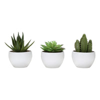 Monarch Specialties - Plante Artificielle - 6 po H - Succulent - Mis En Pot - Ensemble De 3 - Plantes Vertes - Pots Blancs-Ajoutez une touche de verdure à votre maison ou à votre bureau avec ce lot de 3 plantes succulentes artificielles qui mesurent jusqu'à 6 pouces de haut