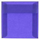 JAM Paper - Enveloppes d'invitation carrées en vélin translucide - 5,5 po x 5,5 po - Bleu primaire - paquet de 25 (PACV507)-Couleur : bleu primaire.