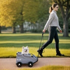 PawHut 4 Wheels Folding Lightweight Pet Stroller with Universal Handle Rod, Storage Bag and Washable Cushion - Grey-Foldable, lightweight design simplifies travel and storage 