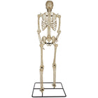 GEMMY 10' Poseable Skeleton with Lit Eyes-Eyes light up red