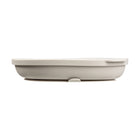 b.box - Assiette en silicone + couvercle - Latte-Convient aux aliments chauds et froids