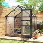Outsunny - serre en polycarbonate - 6 pi x 4 pi x 6,6 pi - gris-Permet de faire pousser des semis, cultiver des plantes tropicales ou prolonger la saison de croissance pendant les hivers doux  

