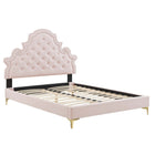 Modway Gwyneth Tufted Performance Velvet Full Platform Bed with Gold Metal Legs - Pink-Full Platform Bed