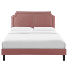 Modway - Novi Lit King en velours haute performance avec pieds effilés en bois noir - Vieux rose-Assemblée requise