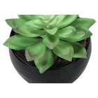 Monarch Specialties - Plante Artificielle - 6 po H - Succulent - Mis En Pot - Ensemble De 3 - Plantes Vertes - Pots Noirs-Dimensions du produit : 4 po L x 4,5 po L x 5,75 po H : 4 po L x 4,5 po L x 5,5 po H : 4 po L x 4,5 po L x 4,5 po x 4,25 po H