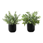Monarch Specialties - Plante Artificielle - 11 po H - Herbe D'Eucalyptus - En Pot - Ensemble De 2 - Feuilles Vertes - Pots Noirs-Ajoutez un peu de verdure à votre espace avec cet ensemble de 2 plantes d'herbe eucalyptus artificielles de 11 po de haut